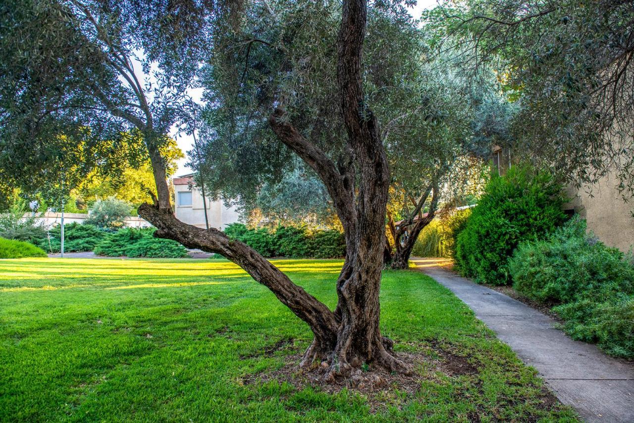 כפר הנופש קיבוץ גדות Kibbutz Gadot Galilean Resort Exterior photo