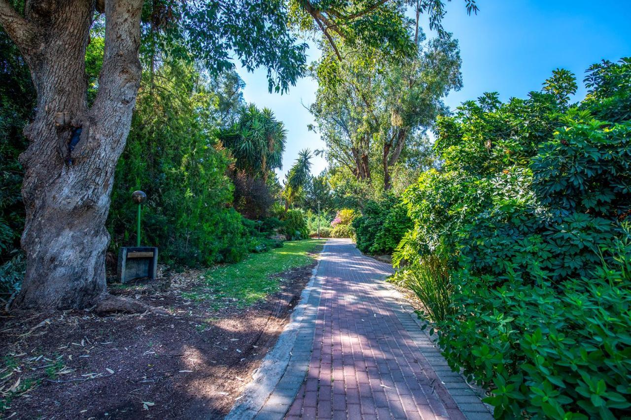 כפר הנופש קיבוץ גדות Kibbutz Gadot Galilean Resort Exterior photo