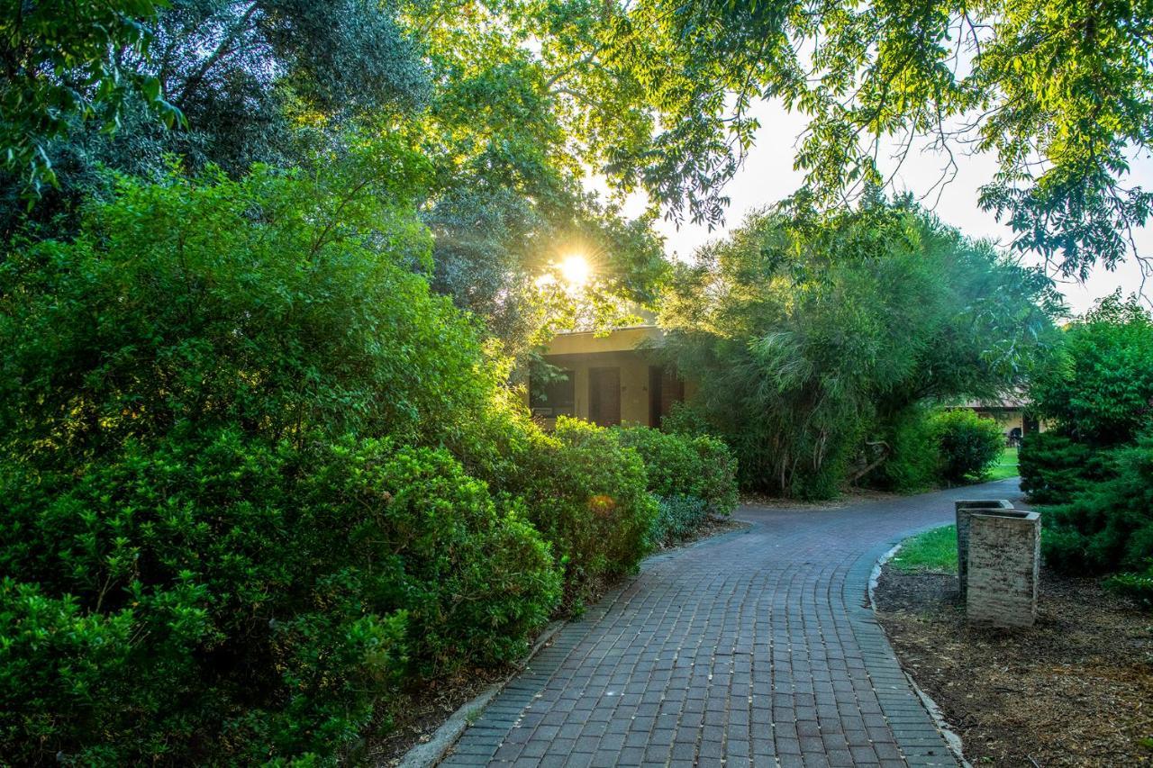 כפר הנופש קיבוץ גדות Kibbutz Gadot Galilean Resort Exterior photo